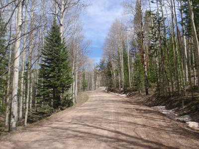 More altitude, trees, and snow.